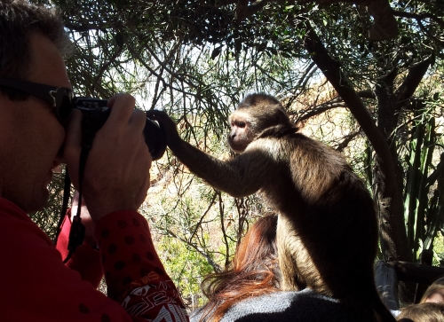 Monkey Sanctuary