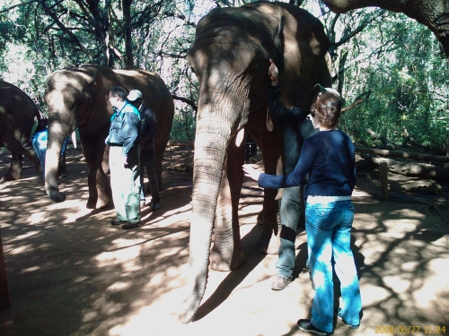 Elephant Sanctuary 