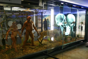 Sterkfontein caves