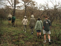 Kruger National park