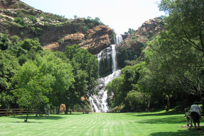 walter sisulu botanical garden 