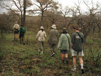 3 Day Adventurous Kruger National Park Tour