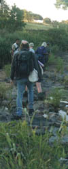 3 Day Adventurous Kruger National Park Tour