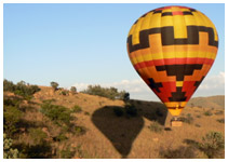 Balloon Safari