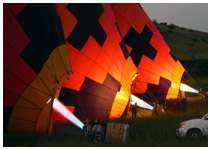 Balloon Safari