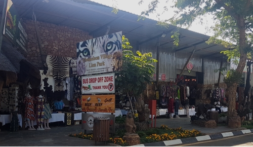 Chameleon Village