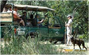 Cheetah Sanctuary