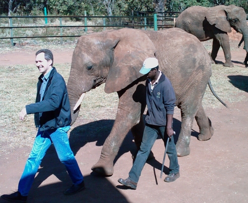 Elephant Sanctuary