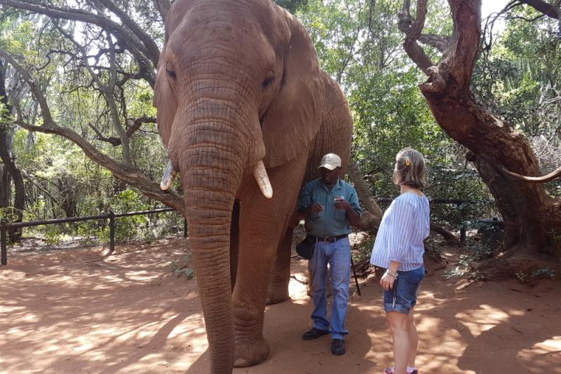 Elephant Sanctuary