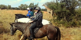 Horse Riding