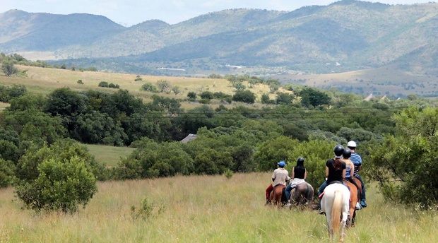 Horse Riding