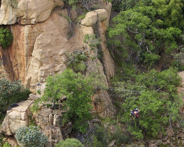 Zip Line